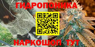 стафф Тулун