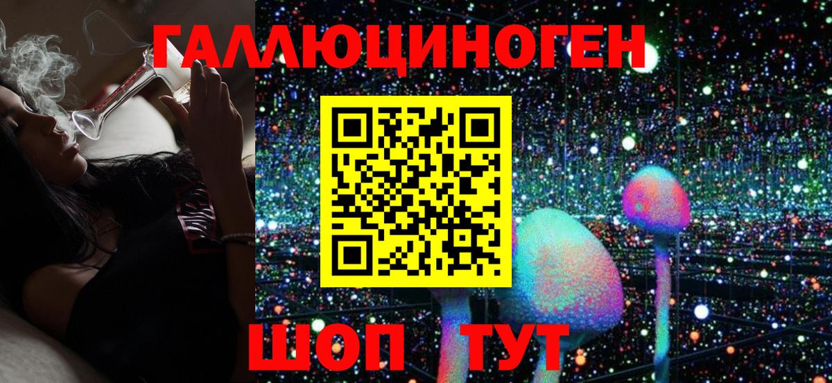 Псилоцибиновые грибы GOLDEN TEACHER Моздок