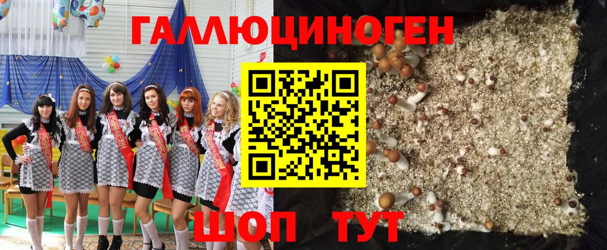 закладки  Вход с VPN  Галлюциногенные грибы Cubensis  Моздок  Галлюциногенные грибы прущие грибы 